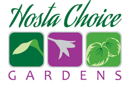 Hosta Choice Gardens - Becancour, QC